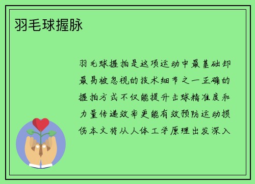 羽毛球握脉