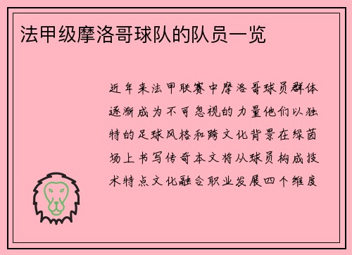 法甲级摩洛哥球队的队员一览